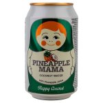 Brand Garage Coconut Mama BIO 12x33cl