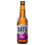 Batu Kombucha Forest fruits 12x33cl