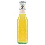 Galvania Organic Aranciata Sparkling 24x20cl