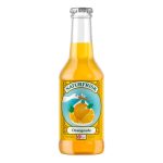 Naturfrisk Orangeade BIO 12x25cl